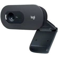 Web Камера Logitech QuickCam C505, HD, Black (960-001364)