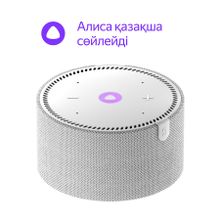 Умная колонка Яндекс Станция Мини Новая, Серый Опал (YNDX-00021GR)