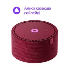 Умная колонка Яндекс Станция Мини Новая, Красный Гранат (YNDX-00021RED)