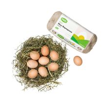 Яйцо Airba Fresh фермерское отборное 10 шт