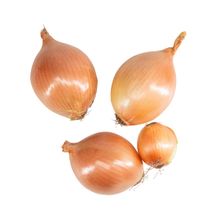 Лук репчатый кг