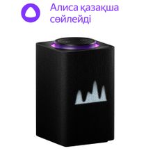 Умная колонка Яндекс Станция Макс с Zigbee, Черная (YNDX-00052 BK)